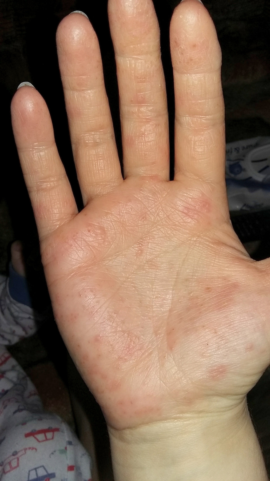 Návrh bez názvu (11)